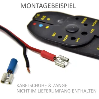 Carp Royal Akku Stecker universal für 6V Akkus z.B. Imperator
