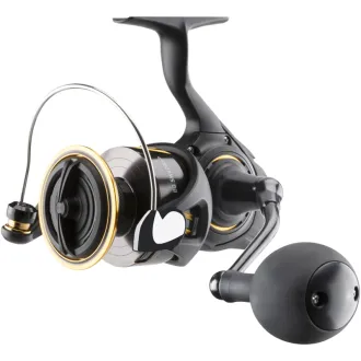 DAIWA 26 BG SW6000-H