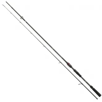 DAIWA Ballistic Air 2,25 m 14-42 g