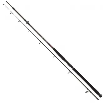 DAIWA Exceler Catfish Boje 2,70 m 200-600 g
