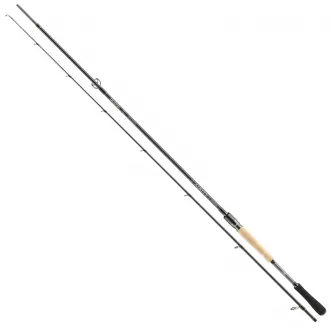 DAIWA Airity Hybrid 2,55 m 18-74 g