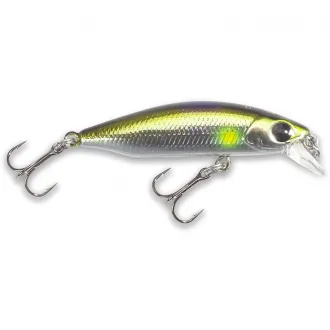 Doiyo Shindo 49 Sinking GS