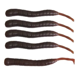 Dieter Eisele Wattwurm Doppelgänger 5 Stück