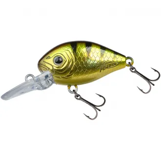 FishUs FBL Assault Crank Tight 40 Golden Perch