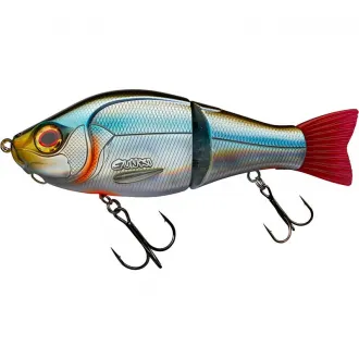 Gunki Scunner 175 S Twin Roach Tendance