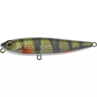 Illex Chubby Pencil 55 RT Perch