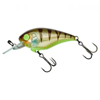 Illex Master Crank 47 MR Nasty Perch