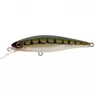 Illex Squad Minnow 65 SP Vairon