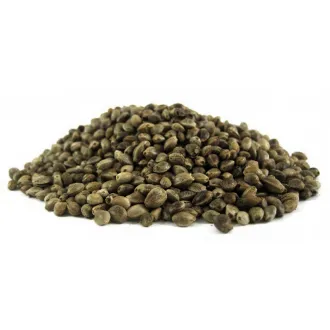 KL Angelsport Hanfsaat 5 kg im Beutel