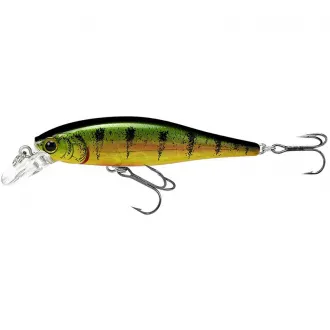 Lucky Craft Pointer 65 Aurora Gold Northern Perch