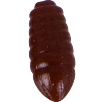 MS-Range Floating-Soft Baits Caster - Dark Brown