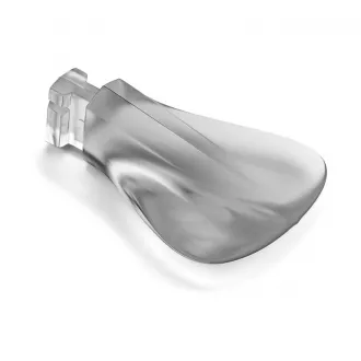 Nays TRN 190 Beaver Tail 1