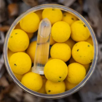 P.R. Baits Saure Biene Pop Ups Special Edition 14/16 mm 40 g