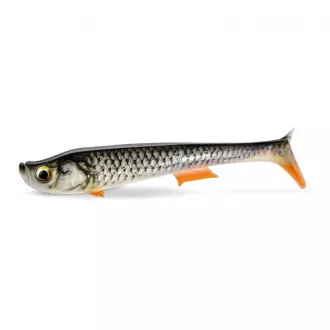 Quantum Tarp Shad 16 cm Real Roach 1 Stück