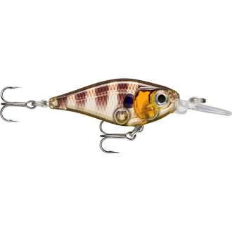 Rapala X-Light Shad 4 cm Glassy Gill UV