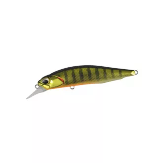 DUO Realis Rozante 77SP Gold Perch