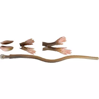 Savage Gear 3D Rad 20 cm Maintenance Kit - Brown