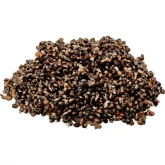 Starbaits Ready Seeds Demon Hemp 1 kg