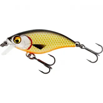Westin BuzzBite SR Crankbait 4 cm 4 g Low Floating Official Roach