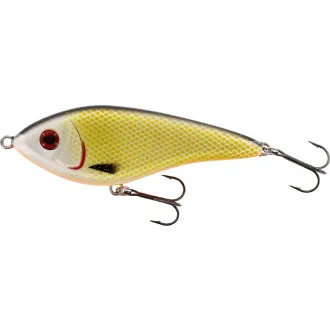 Westin Swim 12 cm Intermediate Official Roach