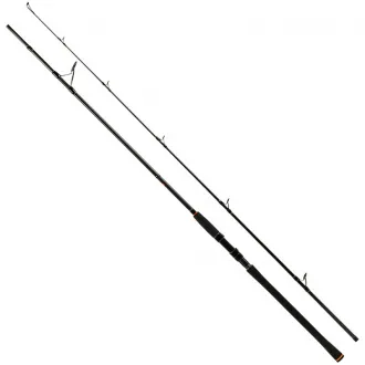 Zeck Fishing Big Stick 250 cm - 150 g