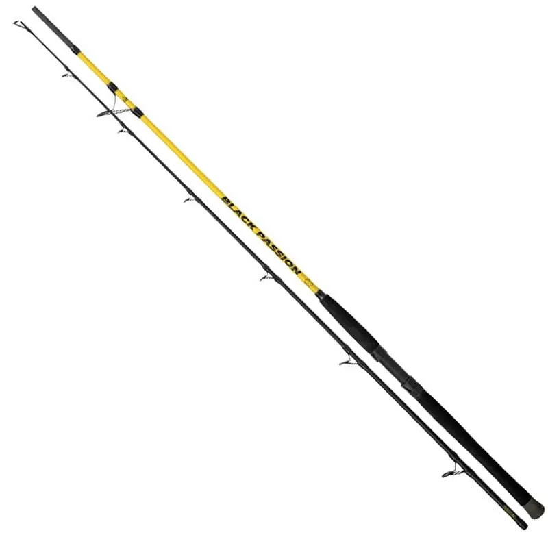 Black Cat Black Passion G2 Spin 2,70 m 50-200 g