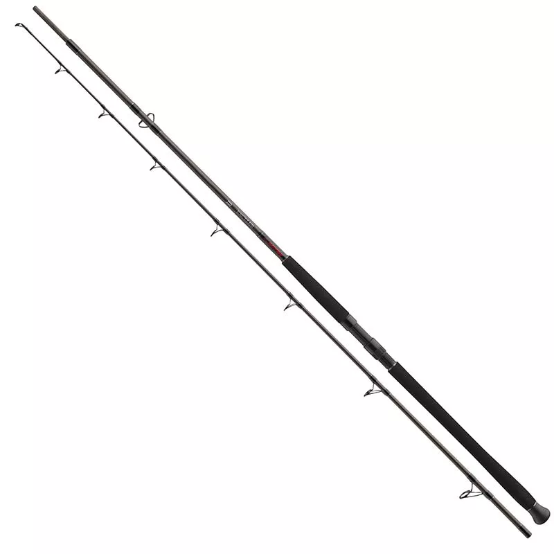 DAIWA Exceler Catfish Boje 3,00 m 200-600 g