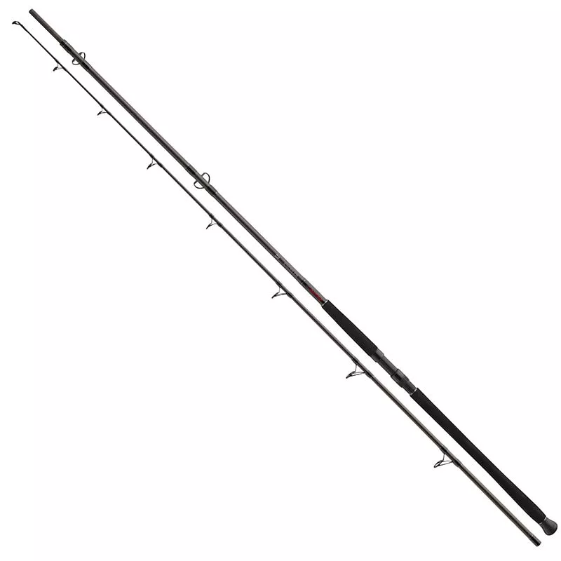DAIWA Exceler Catfish Boje 3,30 m 200-600 g