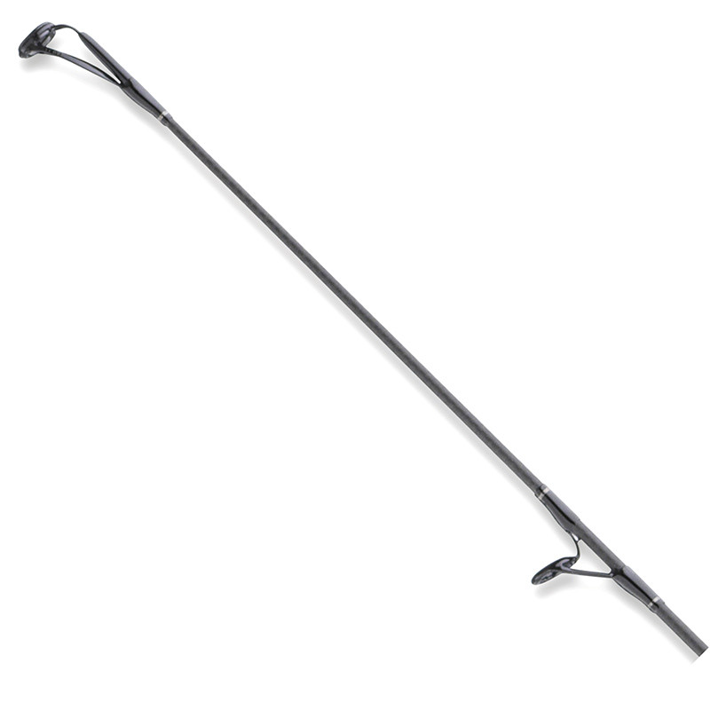 DAIWA 20 Cast`Izm Carp 10 ft 2,50 lb, KL ANGELSPORT