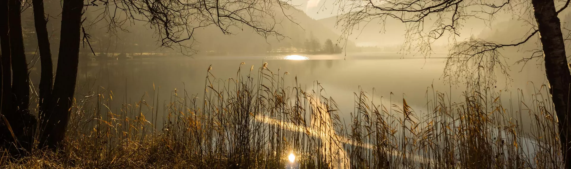 Eine Leidenschaft fürs Leben
